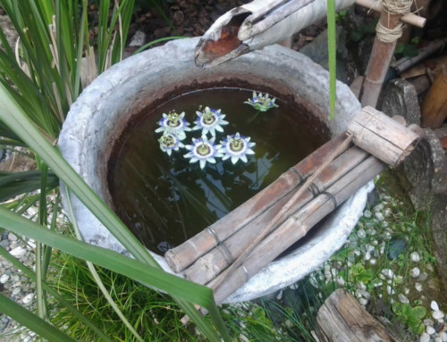 La fontaine ‘japonaise’
