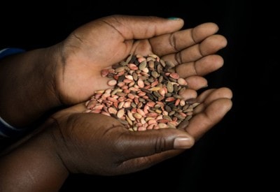 Terra Madre Salone del Gusto 2018